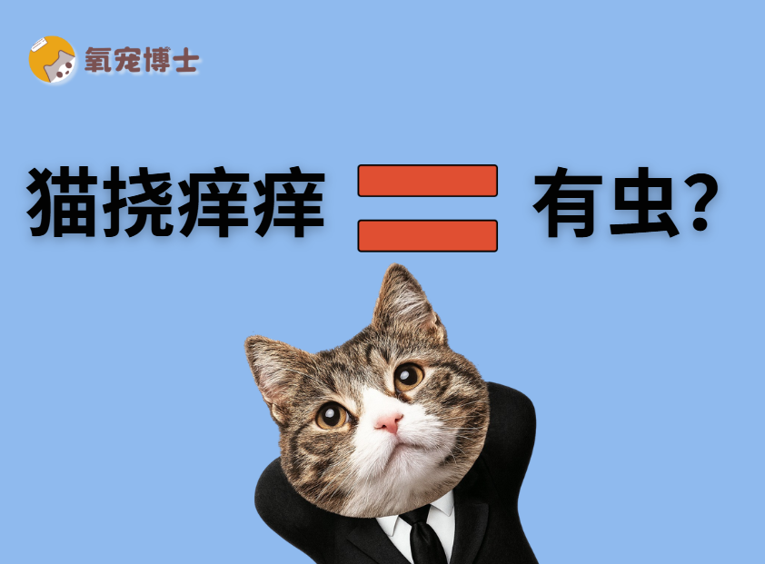 猫挠痒痒就是有虫子吗？