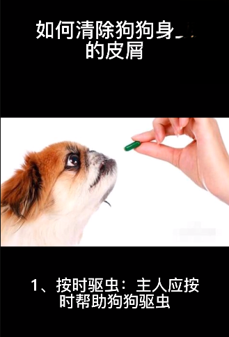 如何清除狗狗身上的皮屑