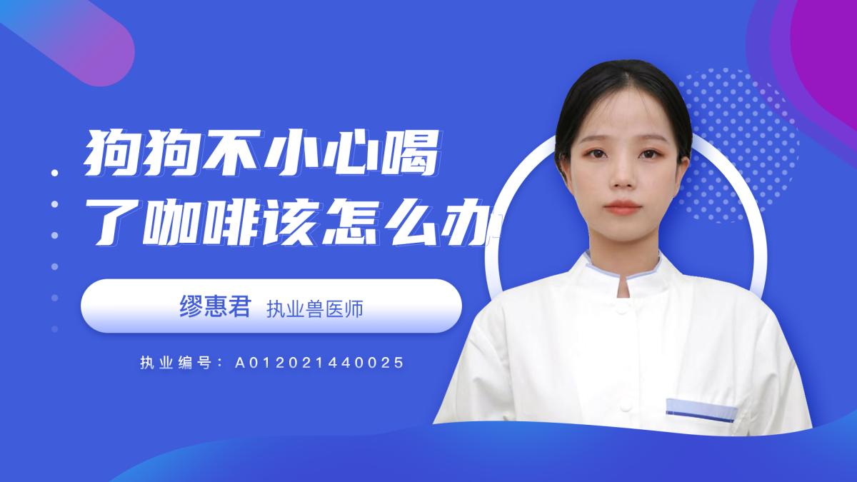 狗狗不小心喝了咖啡该怎么办？