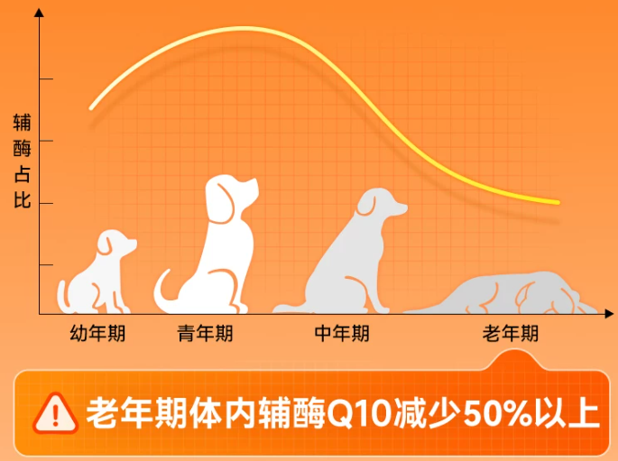 宠物辅酶Q10有必要吃吗？