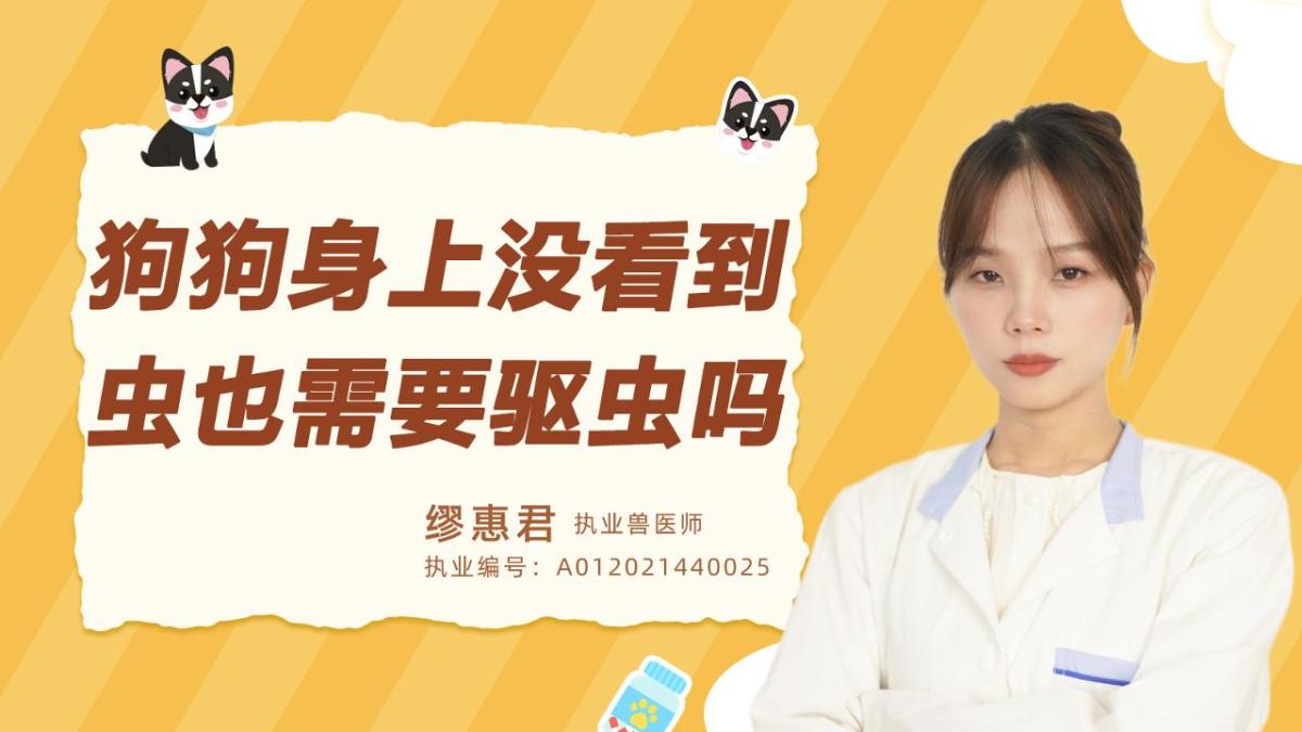 狗狗身上没看到虫也需要驱虫吗？