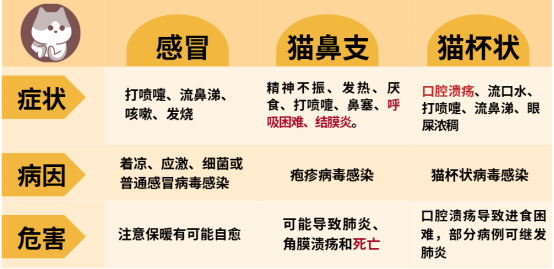 貓咪打噴嚏流黃鼻涕