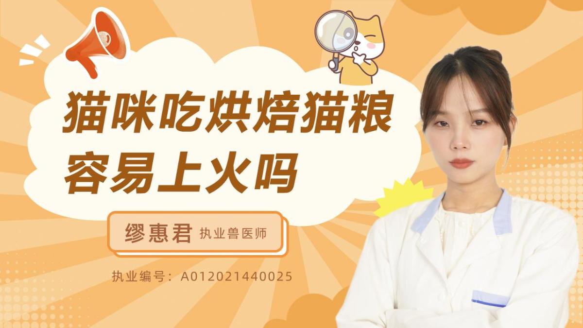 猫咪吃烘焙猫粮容易上火吗？