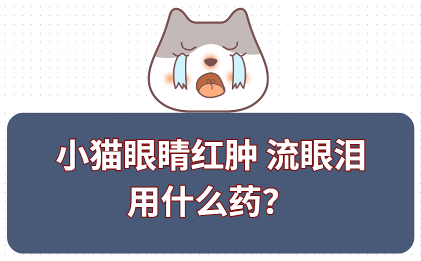 小猫眼睛红肿流眼泪用什么眼药水？