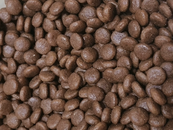 猫大圣成猫专用猫粮