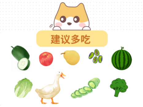 狗狗眼屎多怎麼辦？