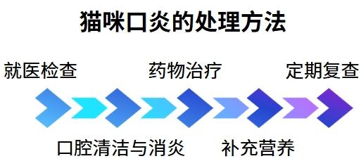 猫咪口炎：症状、原因与处理方法全解析‌