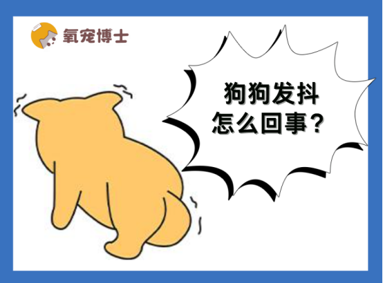 狗狗发抖怎么回事？