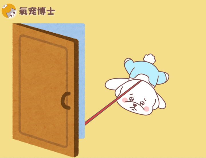 狗狗突然不愿意出门？问题出在哪儿？