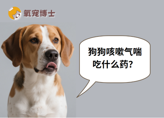 狗狗咳嗽气喘吃什么药？