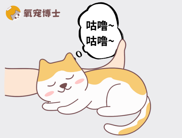 猫咪发出咕噜声的含义
