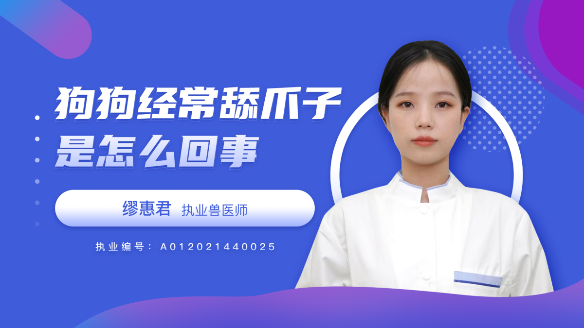 狗狗經常舔爪子是怎麼回事？