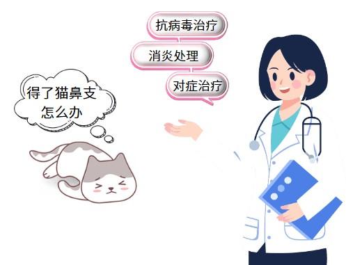 治疗猫鼻支只吃泛昔洛韦效果如何？