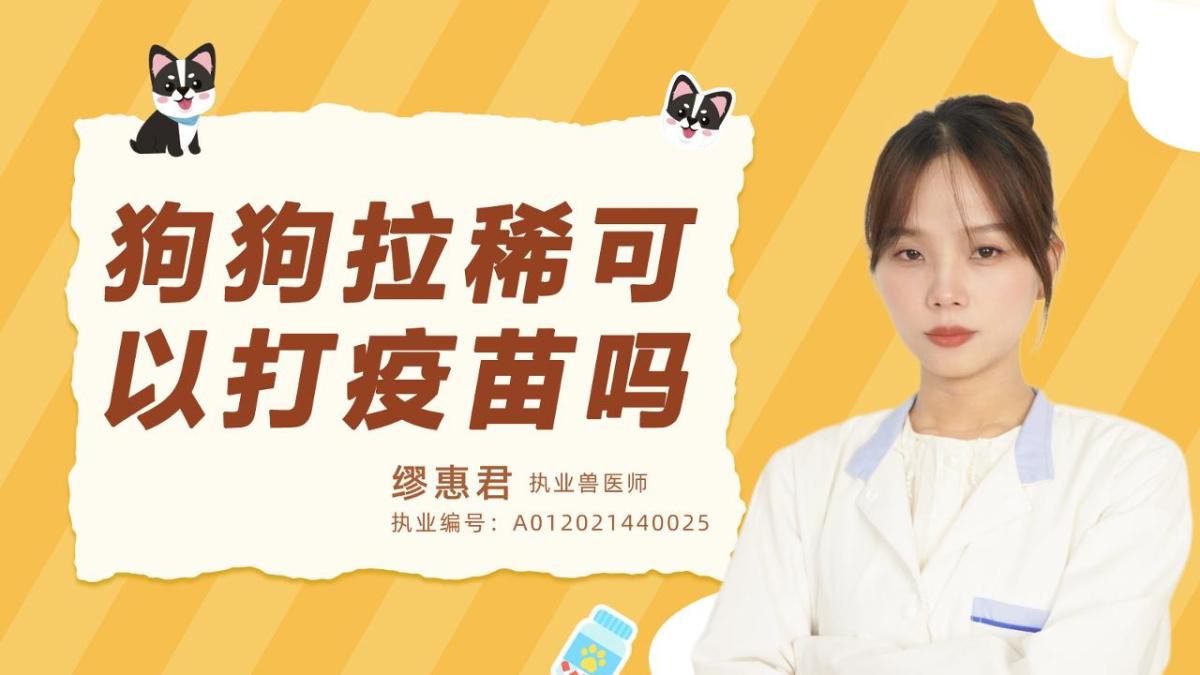 狗狗拉稀可以打疫苗吗？