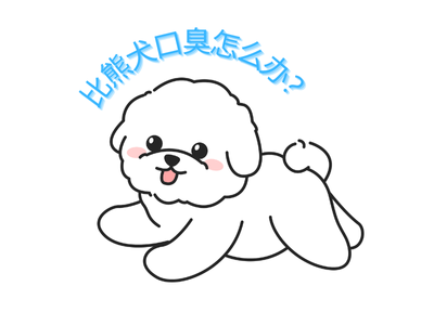 比熊口臭怎麼解決？試試這些去口臭小妙招