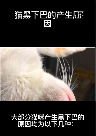 猫黑下巴的产生原因