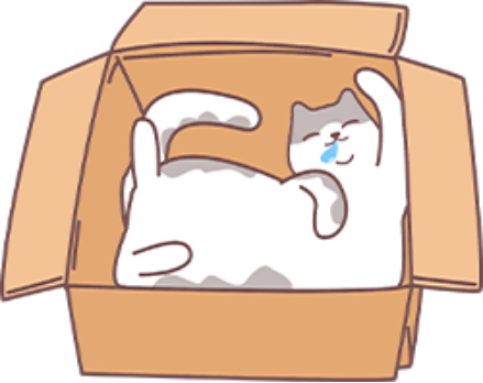 猫骨折了怎么治疗？
