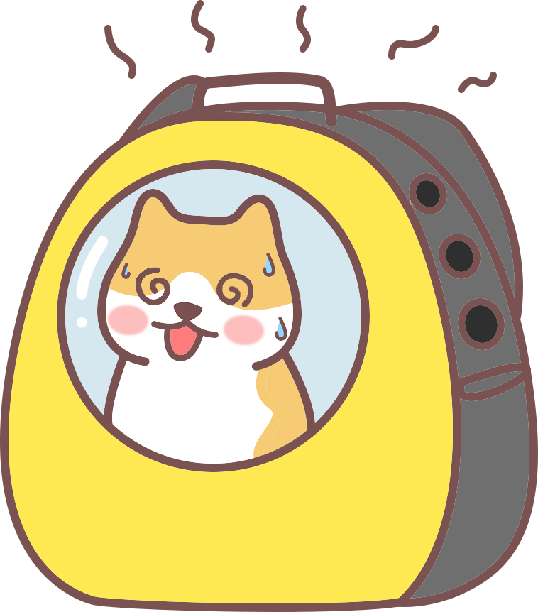 猫咪中暑的急救方法