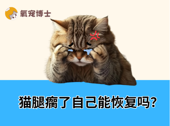 猫腿瘸了自己能恢复吗？