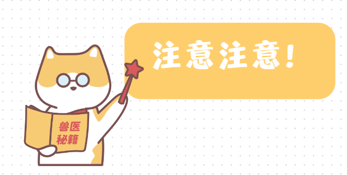 小貓老是舔毛怎麼解決？