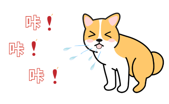 幼犬感冒了怎么办？