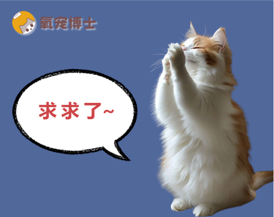 猫咪尿血能自愈吗