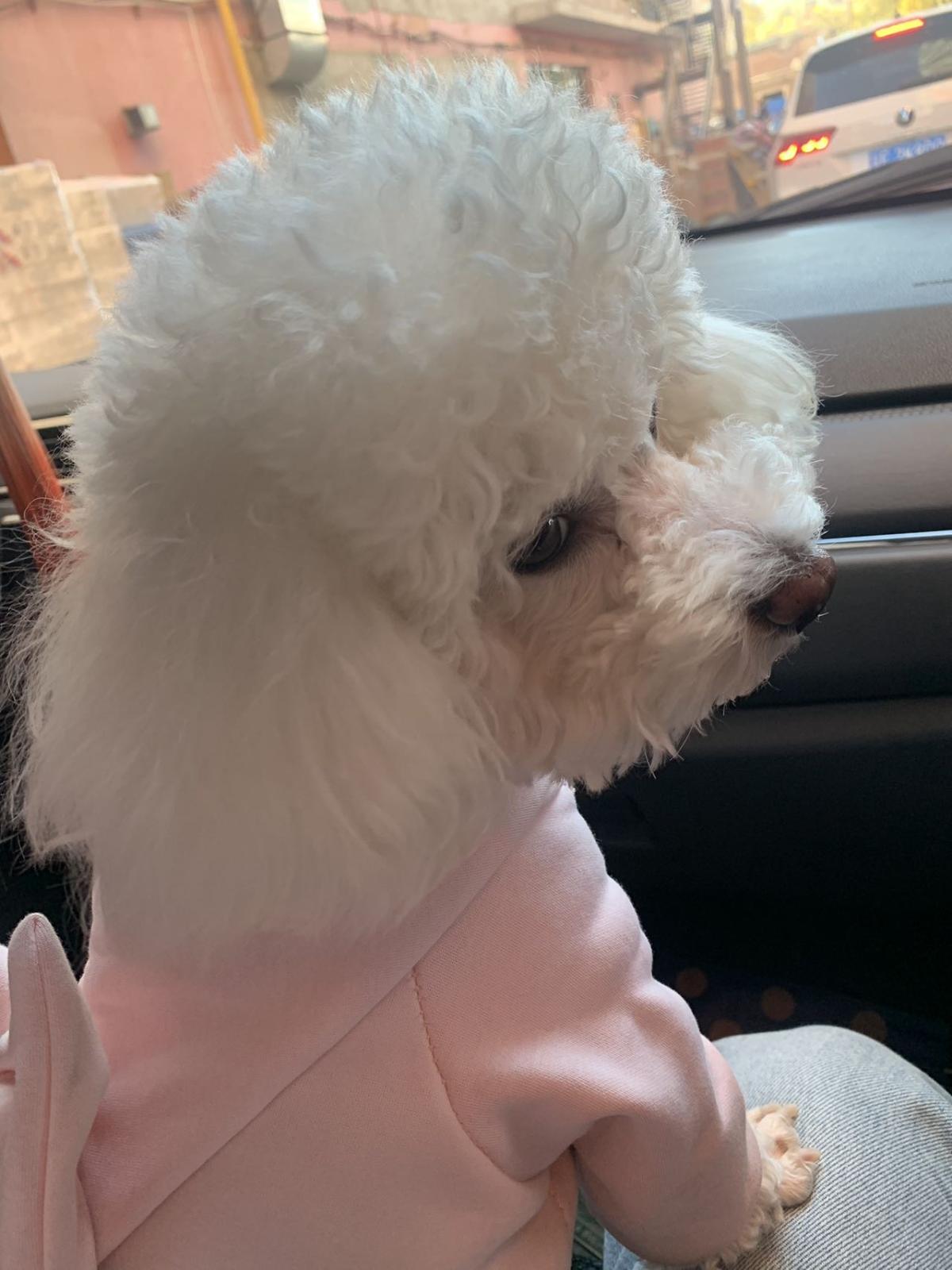 与小果的纸短情长