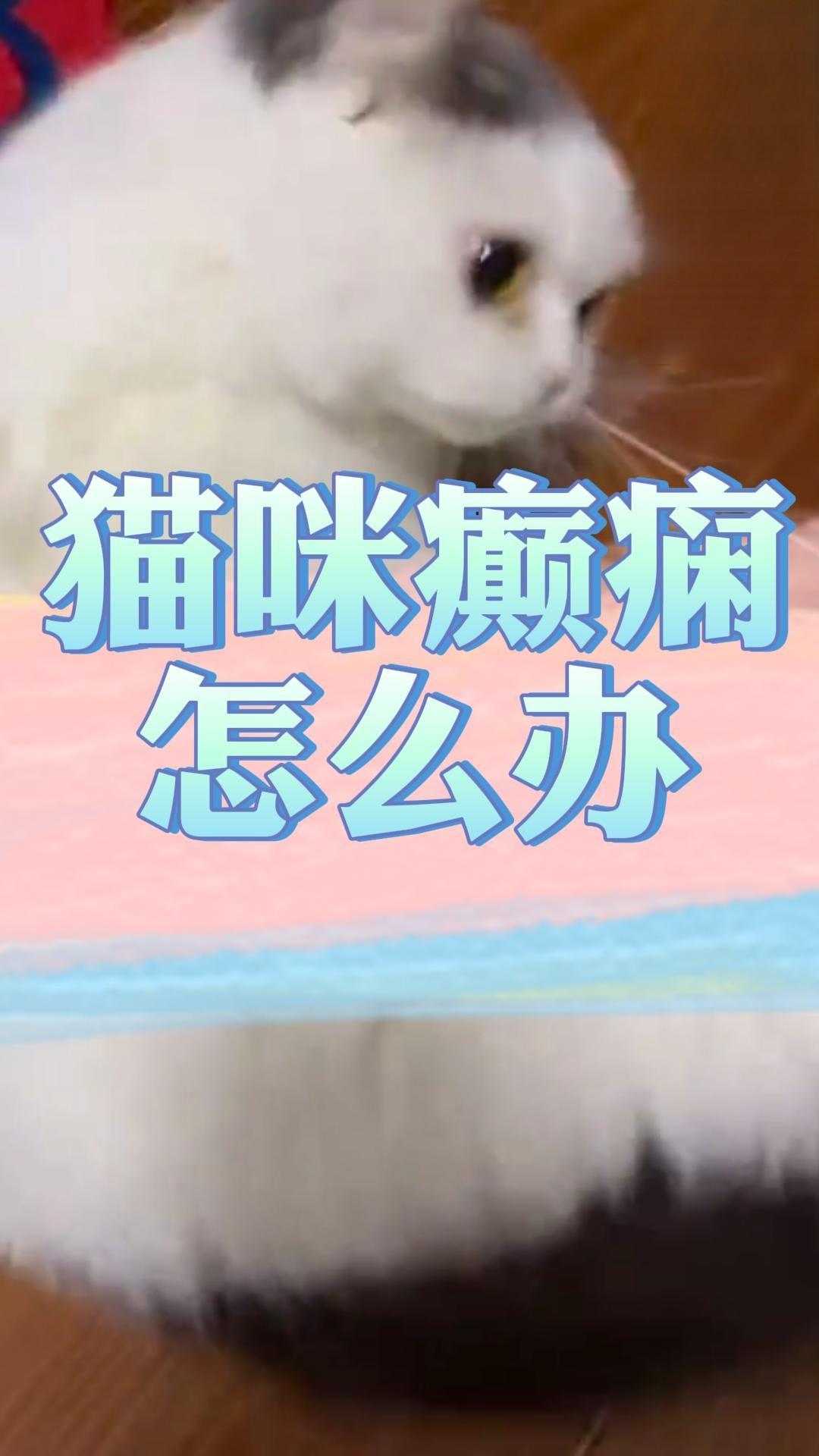 猫咪癫痫怎么办？