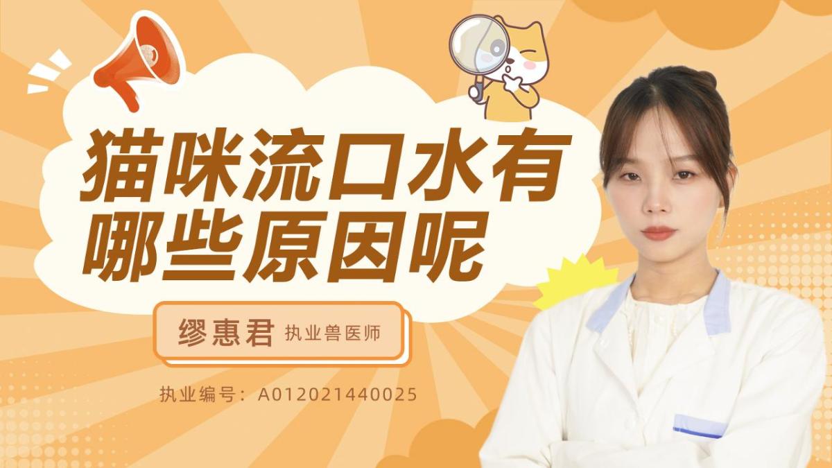 貓咪流口水有哪些原因呢？