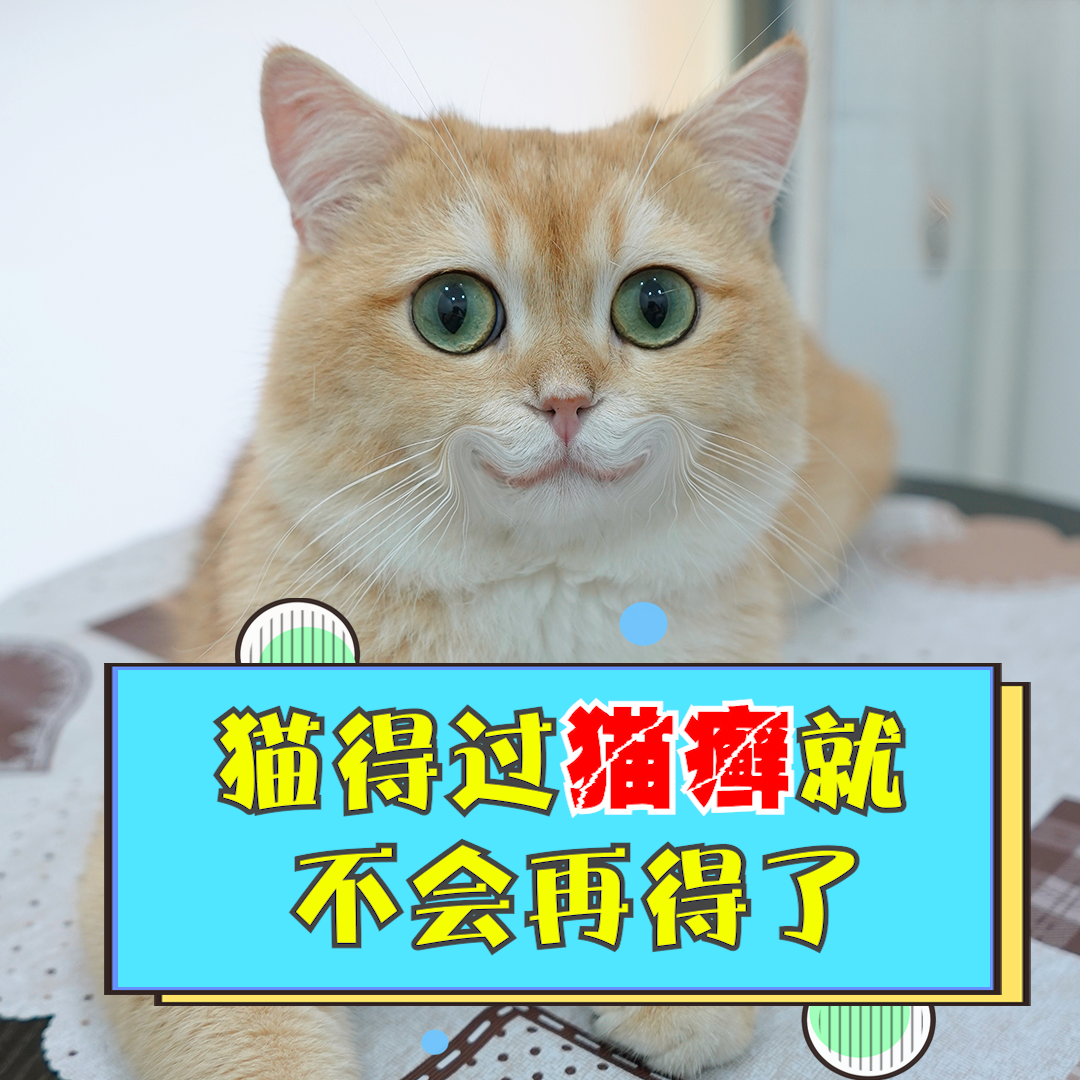 猫得过猫癣就不会再得了吗