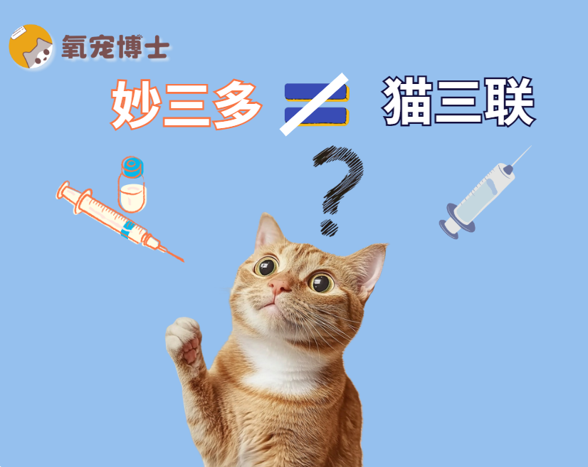 妙三多VS貓三聯，到底有什麼區別？