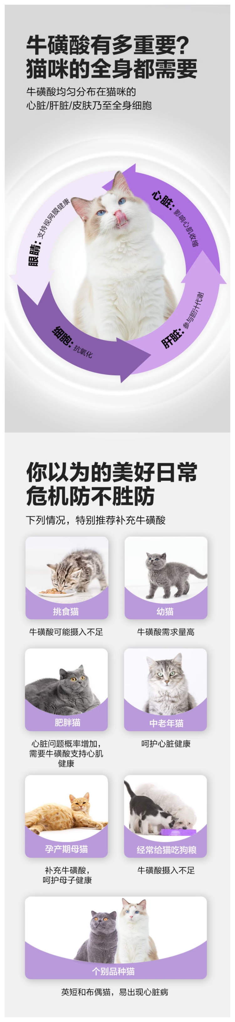 卫仕 猫用复合牛磺酸片详情3.png