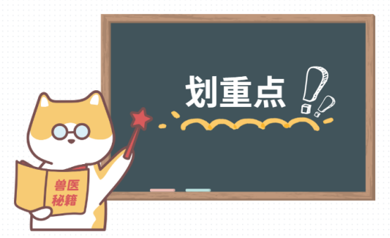 猫不吃东西怎么办？