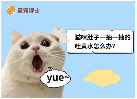 猫咪肚子一抽一抽的吐黄水怎么办？