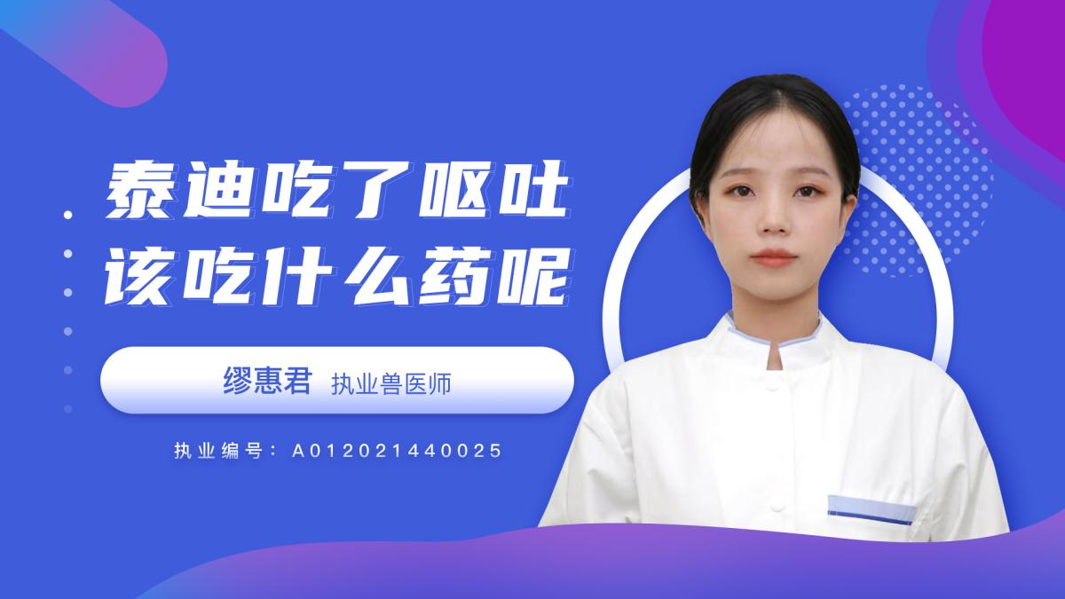 泰迪吃了呕吐该吃什么药呢？