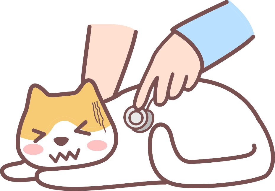 猫咪肠胃炎吃什么药？