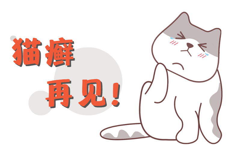 怎么样预防猫咪得猫癣？做好这几点，不再谈“癣”色变！