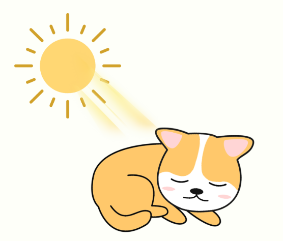 狗狗怎麼補鈣