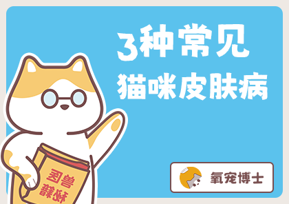 98%猫咪都得过这3种猫咪皮肤病！附症状图