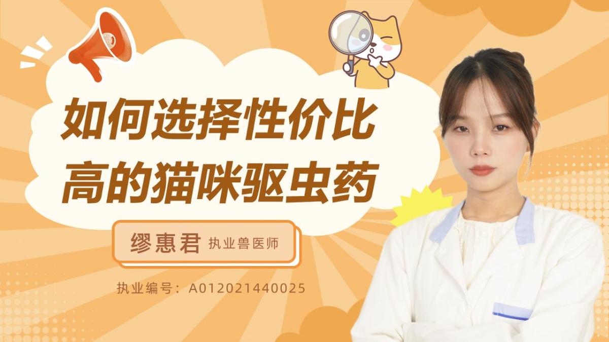 如何选择性价比高的猫咪驱虫药？