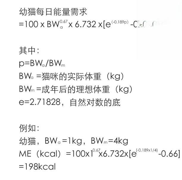 貓咪每天能吃多少貓糧