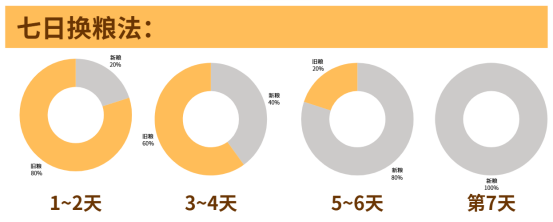 狗狗7日换粮法