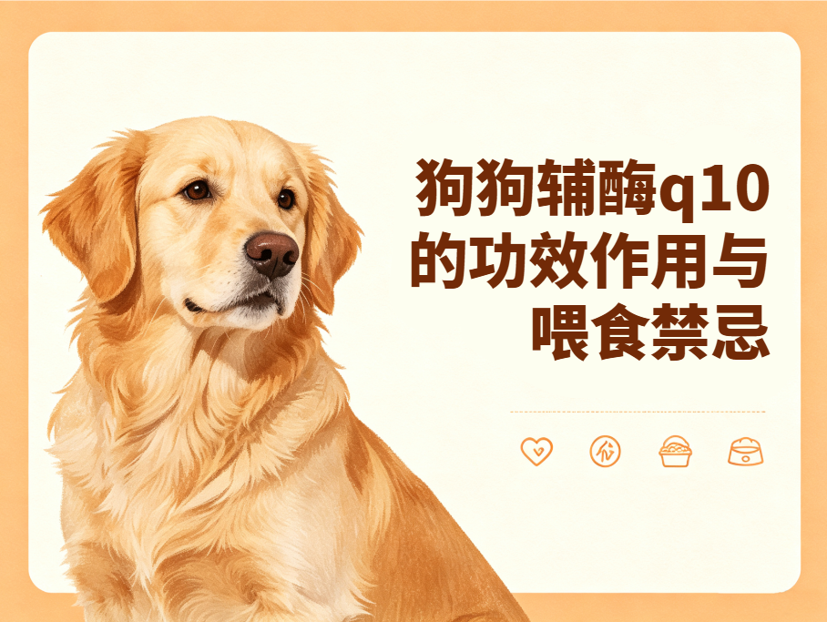 狗狗辅酶q10的功效与作用及禁忌