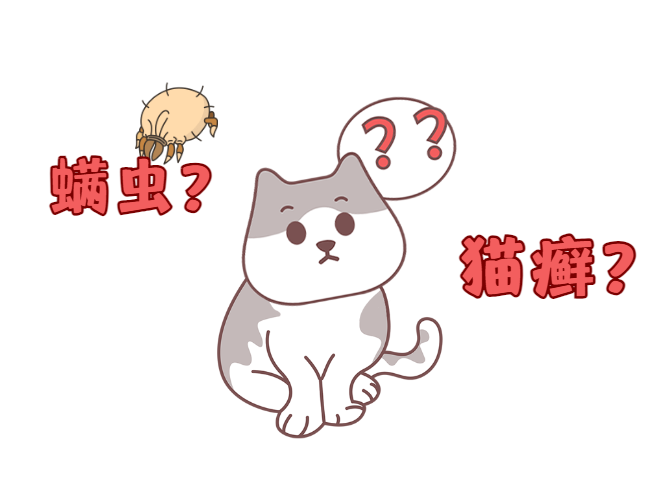 猫癣、螨虫，傻傻分不清楚？教你快速区分&治疗！