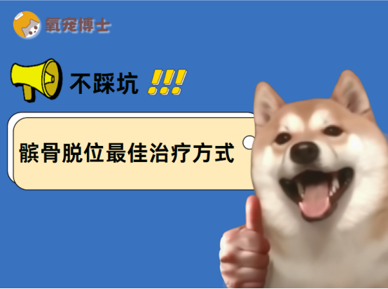 狗狗髌骨脱位最佳治疗方式