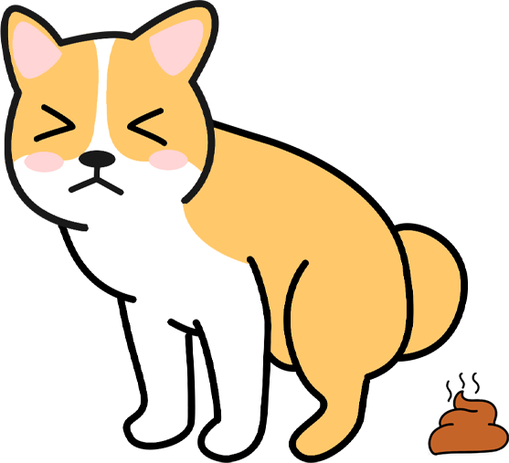 狗狗拉屎先干后稀怎么调理？