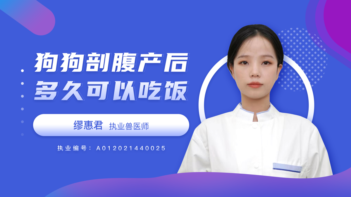 狗狗剖腹产后多久可以吃饭？