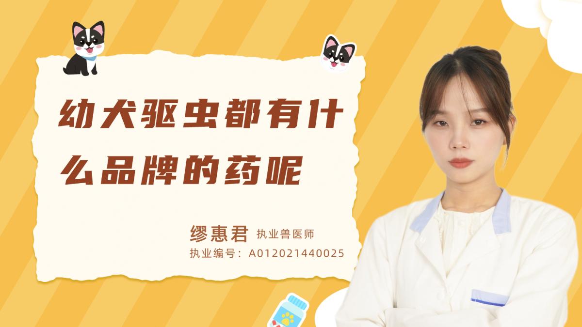 幼犬驱虫都有什么品牌的药呢？