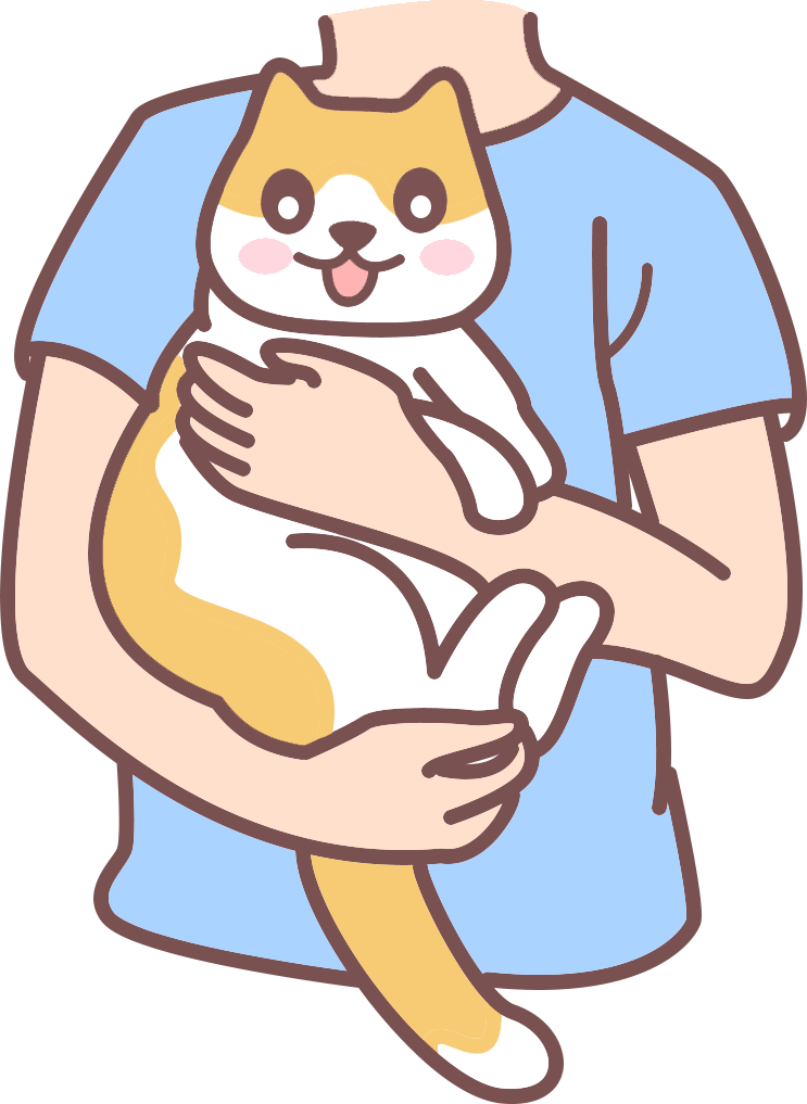 猫咪粑粑粘屁股怎么回事？