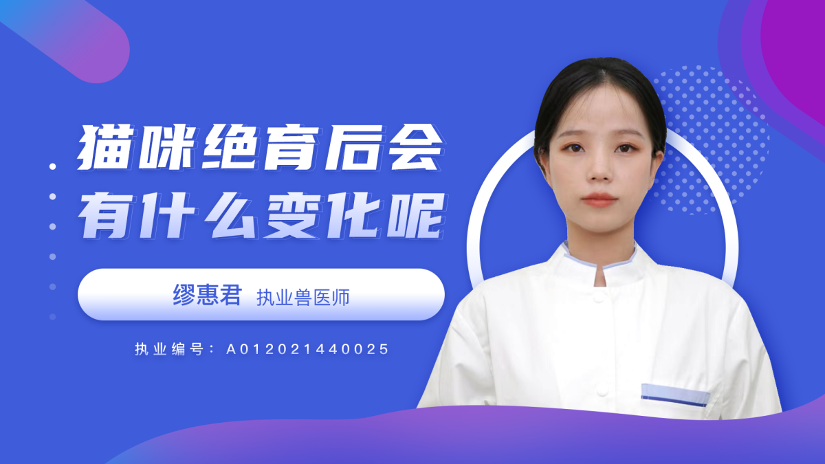 猫咪绝育后会有什么变化呢？